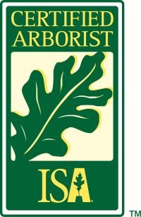 Certified Arborist in Winnebago County, IL