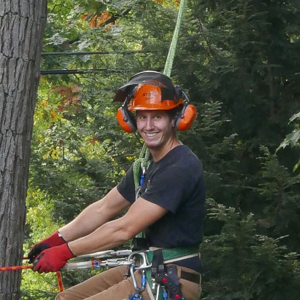 Edward Rook (owner) climbing oak tree