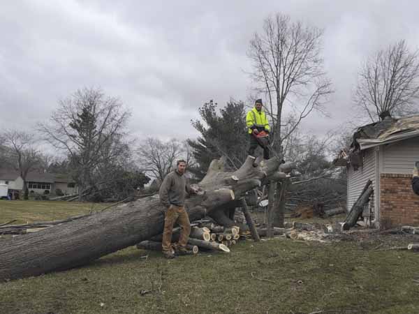 Oak tree blown over onto customer's house in April 2023