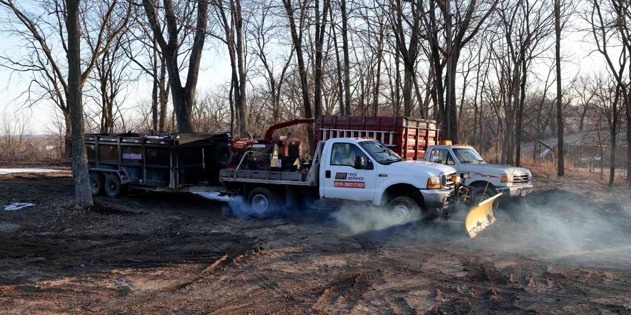 winter tree service/year-round tree service