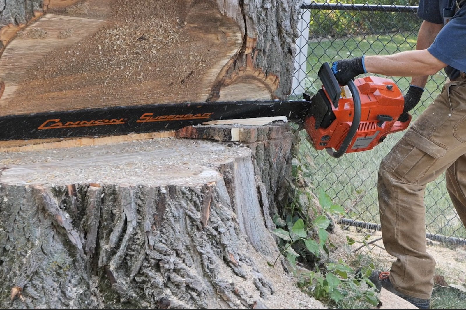 Chainsaw for large tree trunk cuts with 60 inch bar Freeport IL