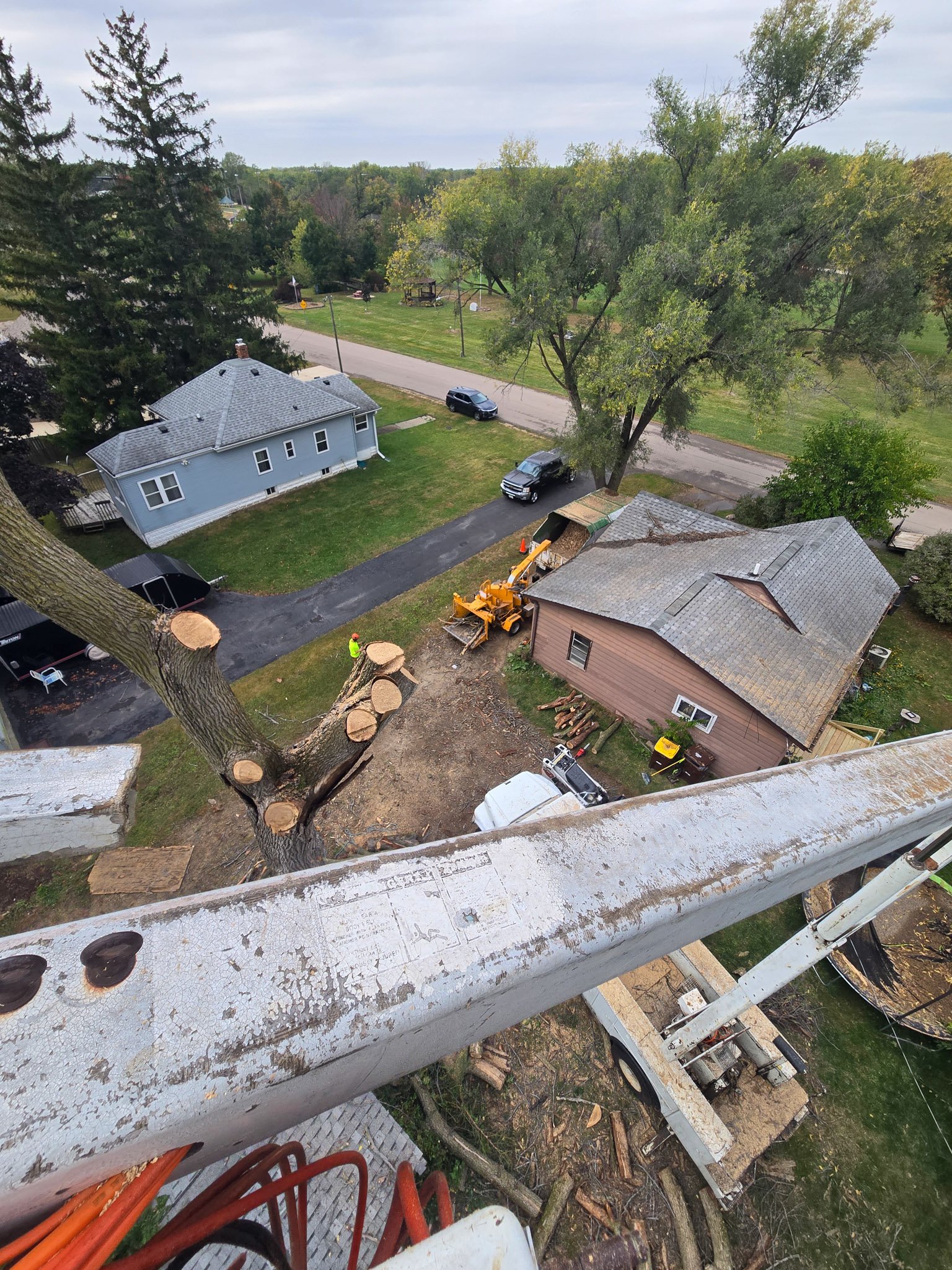 Bucket Truck for Large Tree Removal Rockford IL