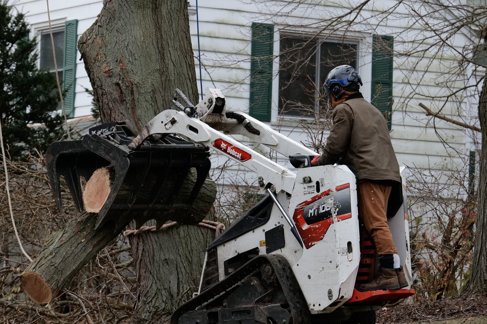 massive log removal Freeport IL