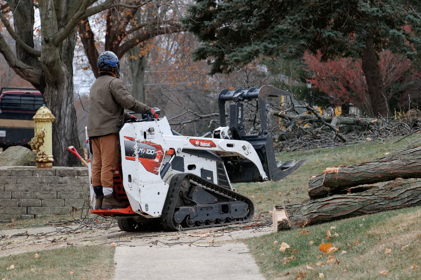 MT100 Large Tree Removal Freeport IL