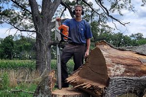 tree felling/falling service in Shirland, IL