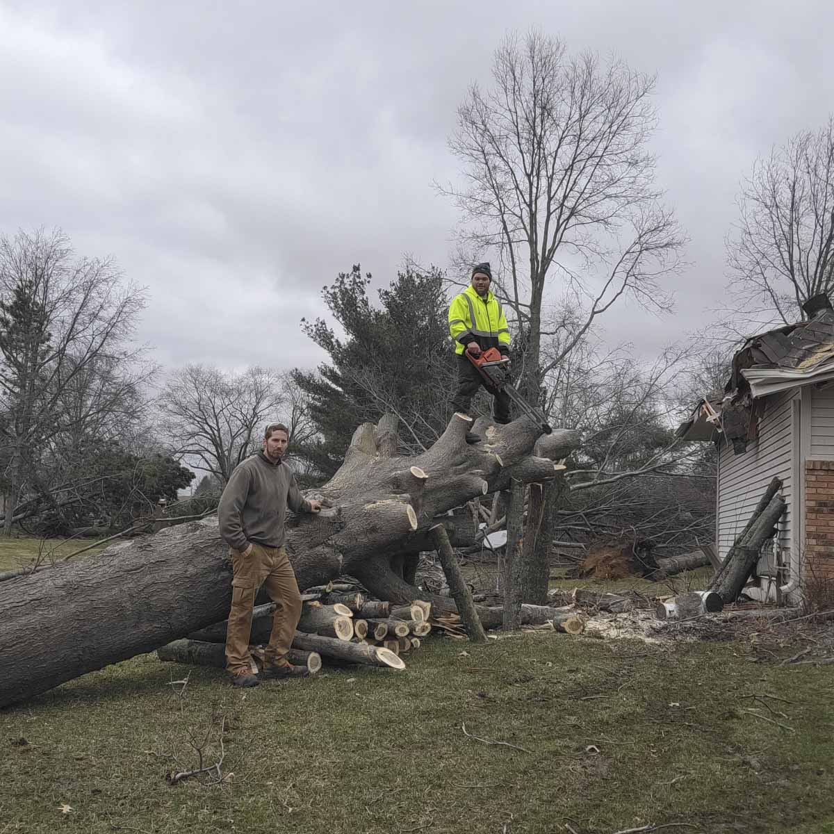 Emergency Tree work in Rockford, IL