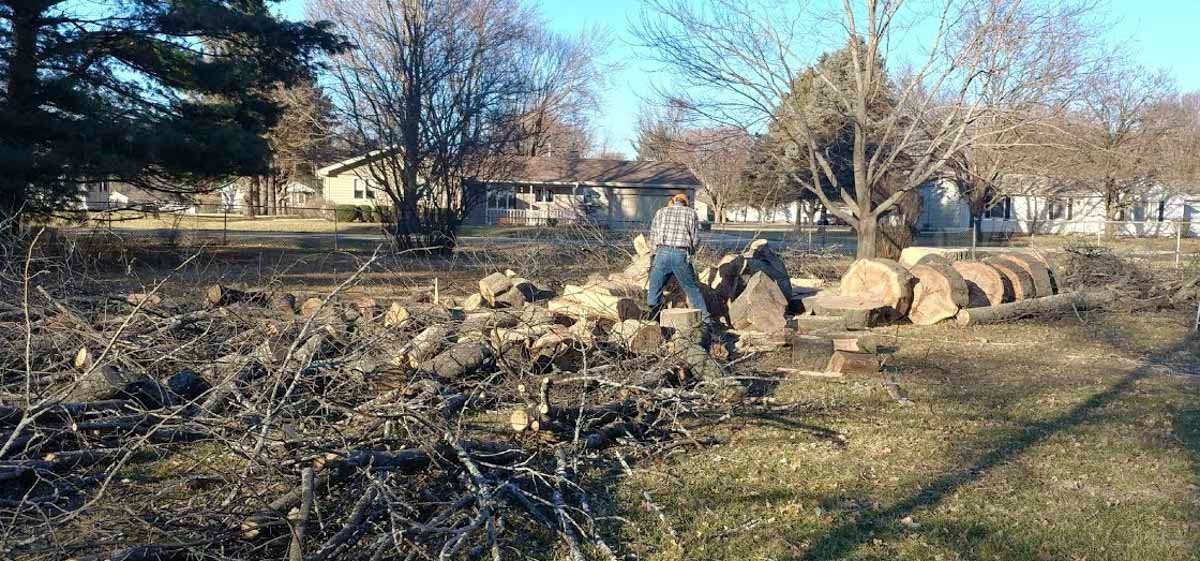 Tree Removal Rockford IL