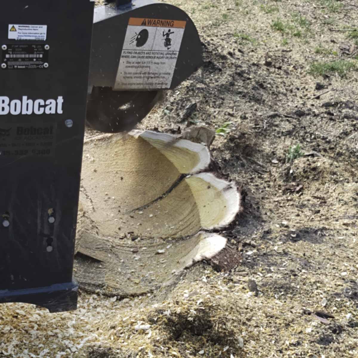 Rockford stump grinding service